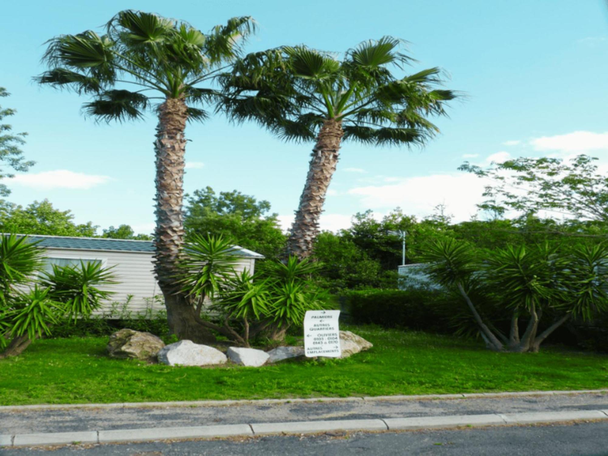Mobil Home Confort Premium Valras-Plage Esterno foto